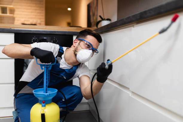 Best Emergency Pest Control  in East Dennis, MA