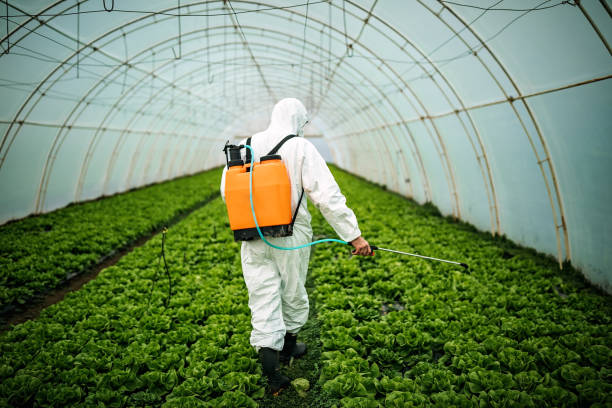 Best Commercial Pest Control Services  in East Dennis, MA