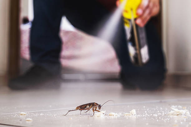 Best Pest Removal Services  in East Dennis, MA