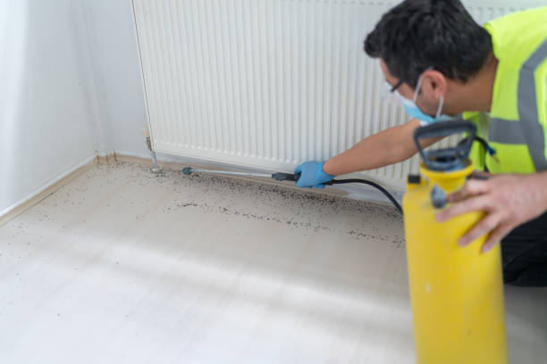 Best Pest Inspection Near Me  in East Dennis, MA